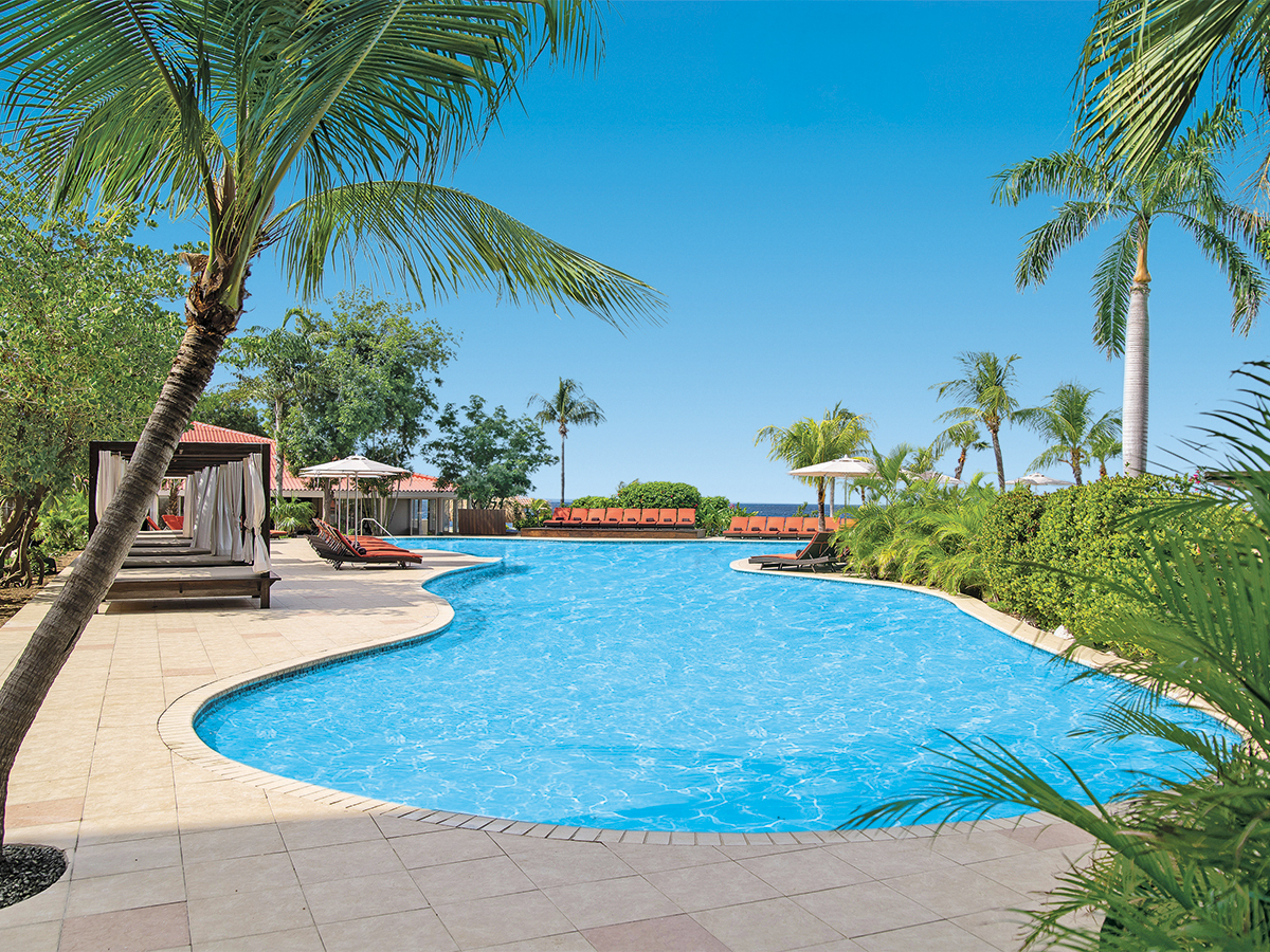 Dreams Curaçao Resort Spa & Casino – 8 dagen – Dreams Curaçao Resort Spa & Casino in Curaçao