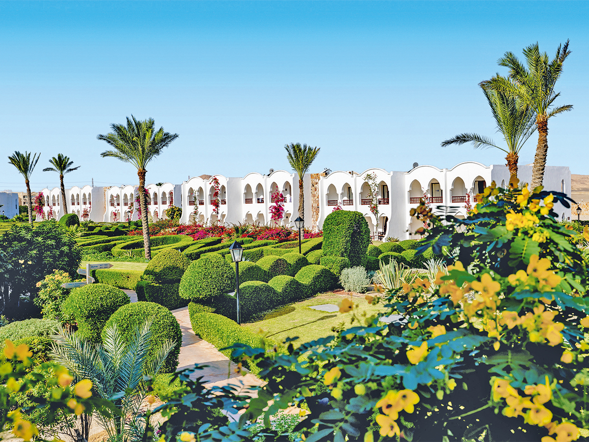 Gorgonia Beach Resort – 8 dagen – Gorgonia Beach Resort in Egypte